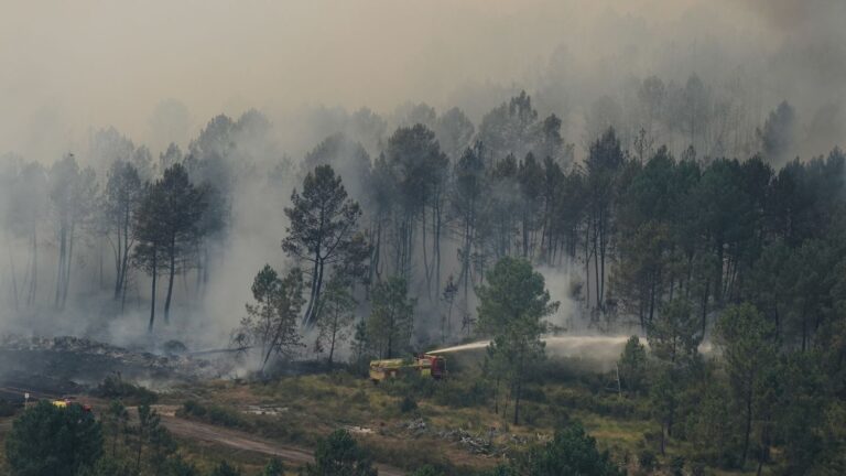 Incendie en Gironde : le feu est maîtrisé, mais des risques de reprise persistent.