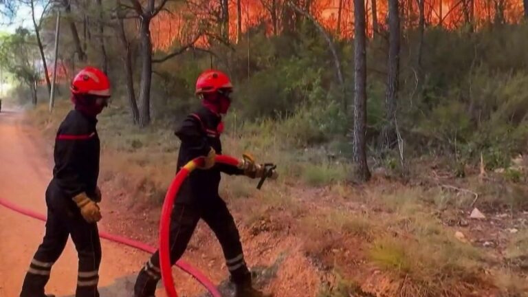 Incendies dans le Var : le vent chaud relance les craintes d’une reprise des feux.