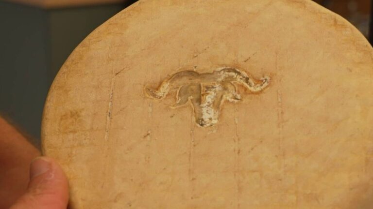 L’Ossau-Iraty : un fromage des Pyrénées reconnu par l’UE pour son AOP.