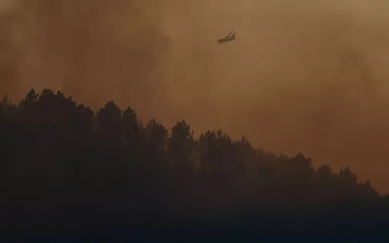 Incendie dans le Var : le préfet confirme l’absence d’évolution du périmètre du feu.