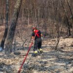 Incendie à Correns : les habitants pleurent la destruction de leur village et de ses paysages.