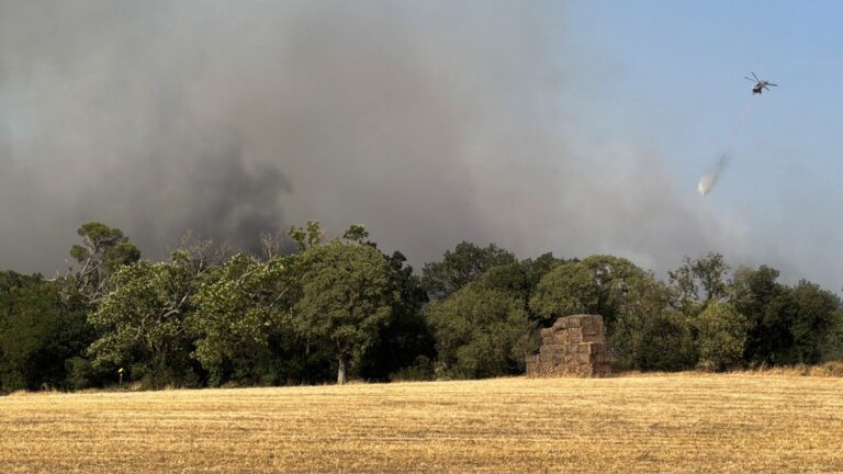 Incendie dans l’Aude : feu sous contrôle aux portes de Carcassonne, situation complexe