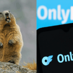 Des chercheurs américains financent leurs études sur les marmottes via OnlyFans.