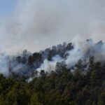 Incendie dans le Var : les pompiers craignent un renforcement des flammes cet après-midi