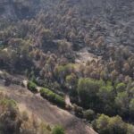 Incendies dans le Var : le village de Correns confronté à une destruction majeure des paysages.