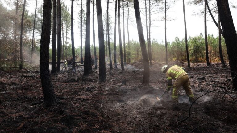 Incendies en France : les candidats à la présidentielle peinent à apporter des réponses.