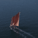 Abandon des sinagots dans le golfe du Morbihan : une préoccupation pour la préservation maritime.