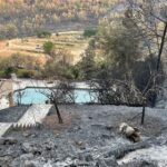 Incendies dans le Var : plus de 22 000 hectares brûlés, sécheresse et adaptation du territoire en débat.