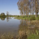 Florence Habets souligne l&rsquo;inefficacité du stockage d&rsquo;eau face à la sécheresse et aux incendies