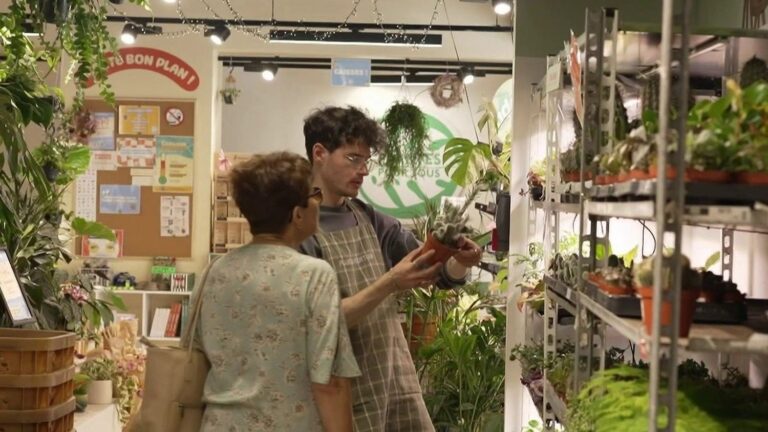 Plantes low-cost : analyse des prix et des pratiques des vendeurs en France