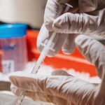 Hantavirus détecté chez un touriste en Espagne, transmissible entre humains selon les experts
