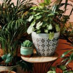 L&rsquo;IA propose des solutions pour l&rsquo;entretien des plantes pendant les vacances en France