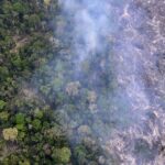 La déforestation en Amazonie brésilienne atteint son niveau le plus bas selon des données satellites.