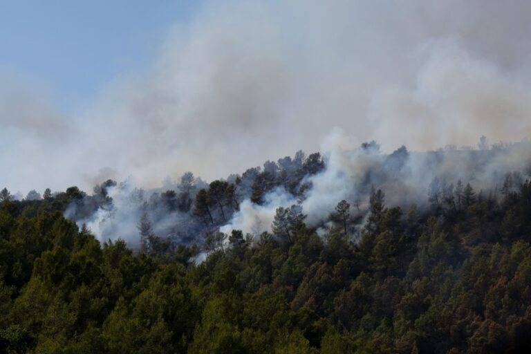 Incendie dans le Var : situation stabilisée, vigilance requise pour les jours à venir