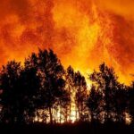 Incendies en France : le syndicat Sud Sdis appelle à un ministre dédié à la sécurité civile