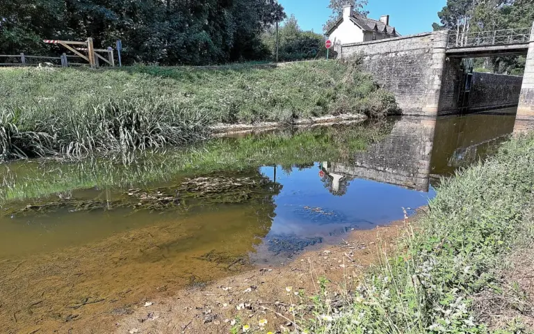 Sécheresse en Bretagne : expert évoque l’absence de réouverture des canaux de navigation.