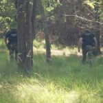 Gendarmes mobiles déployés dans les forêts à risque d’incendie pour assurer la sécurité.