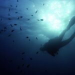 Des épaves coulées pour attirer poissons et plongeurs en France.