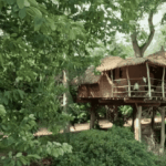 Dormir dans une cabane en France : une expérience nocturne apaisante en pleine nature