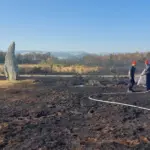 Incendie en Ille-et-Vilaine : plus de cent personnes évacuées, le feu non maîtrisé