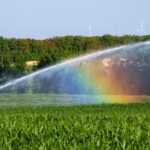 Économiser l&rsquo;eau : gestes individuels et collectifs pour réduire les fuites domestiques.