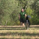 Un oléiculteur espagnol se spécialise dans l&rsquo;huile d&rsquo;olive à base d&rsquo;olives noires.