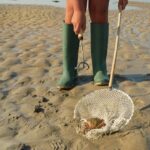 Grandes marées : les pêcheurs à pied soumis à des règles strictes sur le littoral
