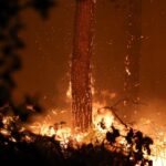 Vigilance orange « canicule » étendue à huit départements du Grand Est, 83 au total.