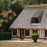 Toits de chaume : la relance de la filière du roseau en Normandie