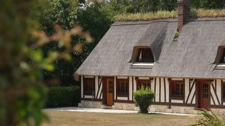 Toits de chaume : la relance de la filière du roseau en Normandie