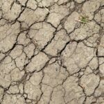 Sécheresse : restrictions d&rsquo;eau renforcées dans le Nord et le Pas-de-Calais, mobilisation nécessaire.