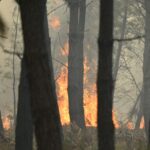 Des militaires du génie renforcent les pompiers pour lutter contre les incendies dans les Landes.
