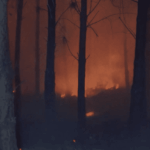 Incendie à Luglon : 1 700 hectares ravagés dans les Landes, situation préoccupante.