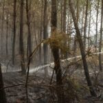 Incendie dans les Landes : la moitié des habitants évacués peuvent regagner leur domicile