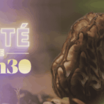 Morilles de feu : un phénomène naturel observé en France ce samedi à 20h30.