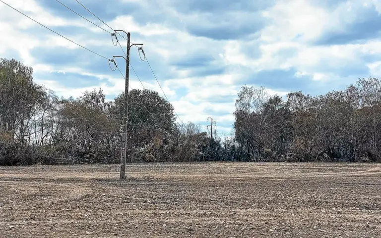 Qui devait débroussailler après l’incendie en Ille-et-Vilaine ? État de l’enquête.