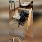 Appartement saccagé : une propriétaire exprime sa colère face à la dégradation.