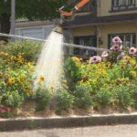 Jura : une commune recycle l’eau de pluie pour arroser ses espaces verts en période de sécheresse.