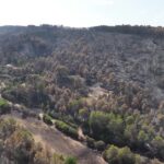 Incendies dans le Var : la préfecture annonce leur extinction après un mois de lutte.