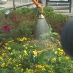Champagnole met en place une solution d’irrigation des espaces verts respectant les restrictions d’eau.