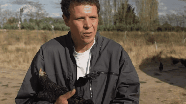 Explosion de la consommation de poulet : les éleveurs français face à une demande accrue.
