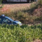 Accident dans les vignes du Beaujolais : un mort et neuf blessés, deux en état grave