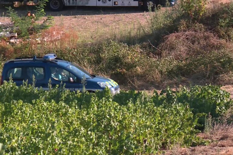 Accident dans les vignes du Beaujolais : un mort et neuf blessés, deux en état grave