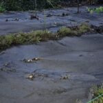 Incendies et coulées de boue : un agriculteur invite à cueillir des fruits et légumes abîmés.
