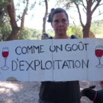 Vendangeurs saisonniers expulsés des terrains, réclament des solutions d&rsquo;hébergement.