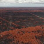Incendies en Gironde : les pompiers luttent contre des foyers souterrains persistants