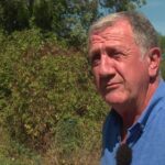 Tragédie lors des vendanges dans le Beaujolais : un mort et neuf blessés signalés