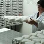 Réajustement des prix du fromage en France en raison de la sécheresse prévue.