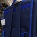 Rentrée scolaire : critères essentiels pour choisir un cartable adapté en France