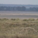 Interdiction de la plage aux nudistes en Normandie : une association dénonce une confusion avec la délinquance sexuelle.